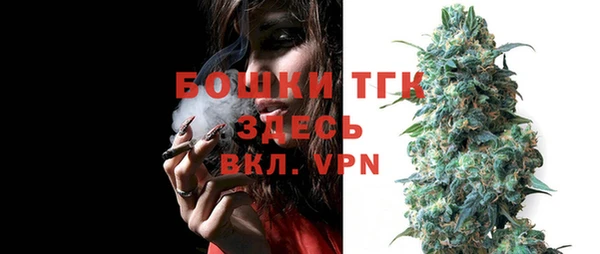 винт Горно-Алтайск