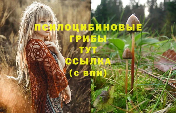 кристаллы Горнозаводск