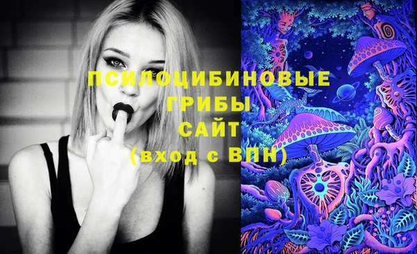 винт Горно-Алтайск