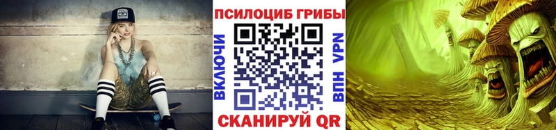 сколько стоит Балаково Псилоцибиновые грибы Cubensis